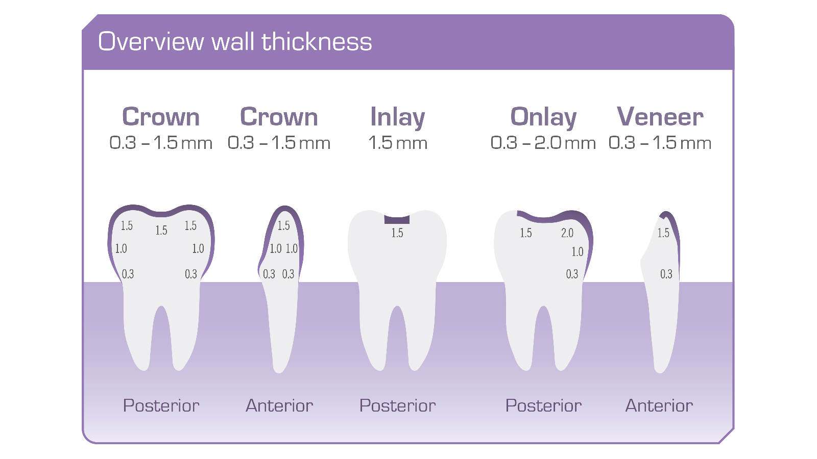 dima print Teeth & Temp