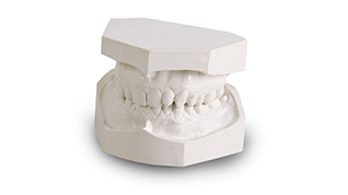 Modern Materials Ortho Plaster